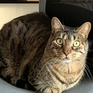 Meet your Posher, Zoe